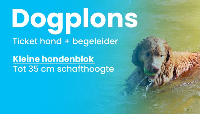 Webshop Dogplons kleine hondenblok.jpg